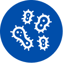 Ikona bakt&eacute;rie