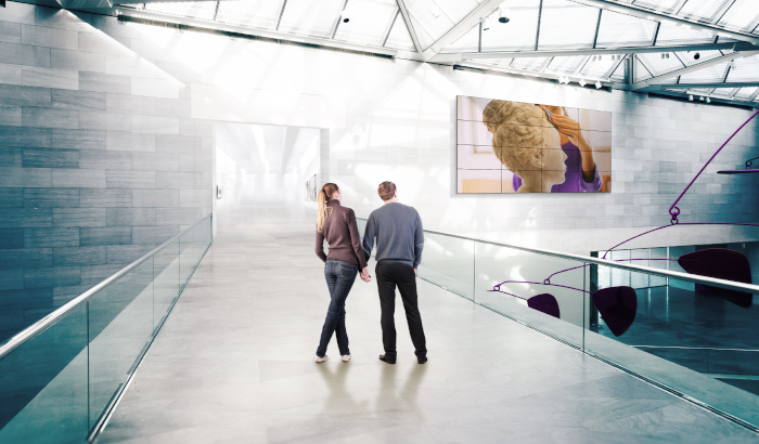 verejn&yacute; zobrazovac&iacute; syst&eacute;m