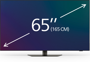 65 palcov&eacute; telev&iacute;zory