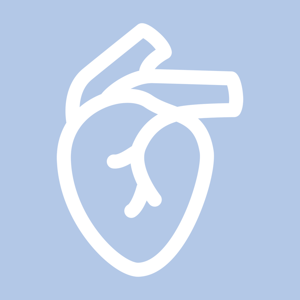 Heart icon