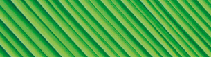 PreWave image